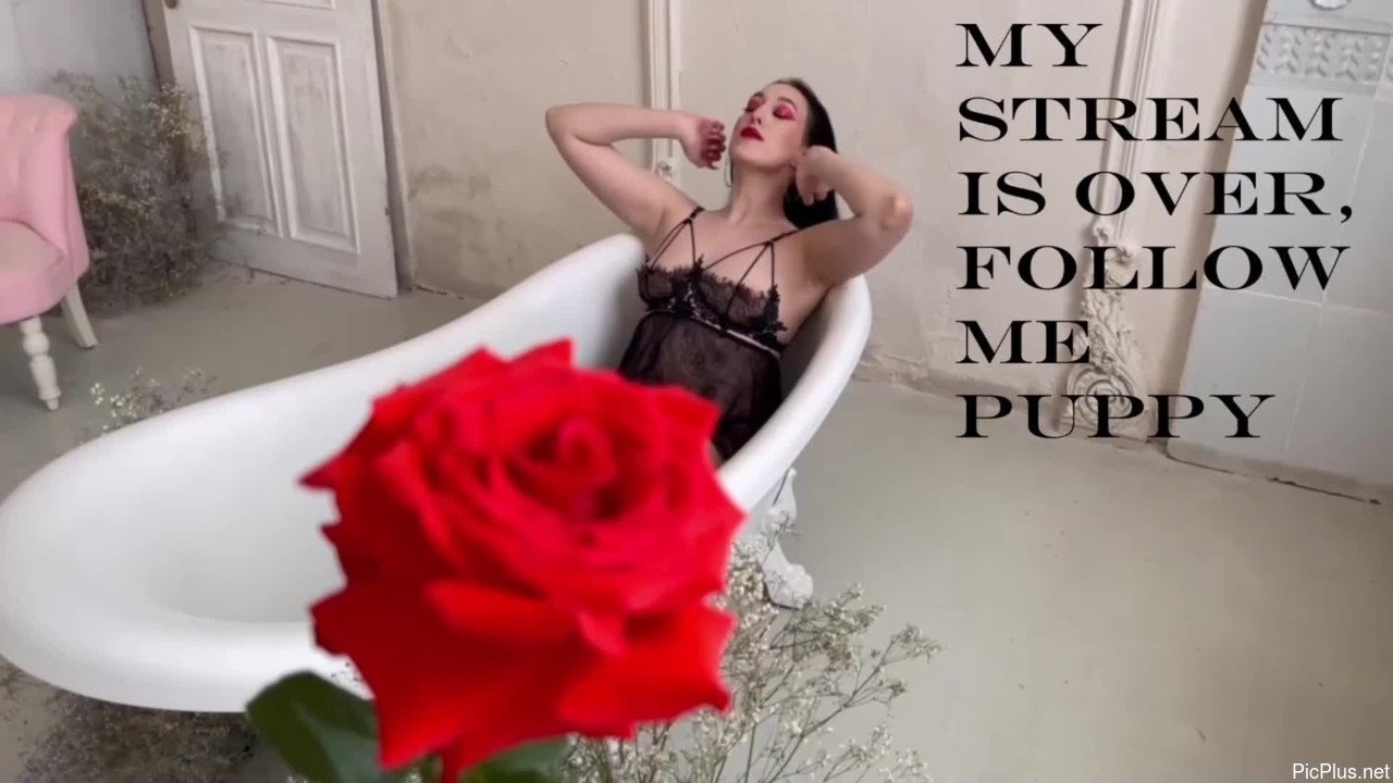 Alice_mistresss