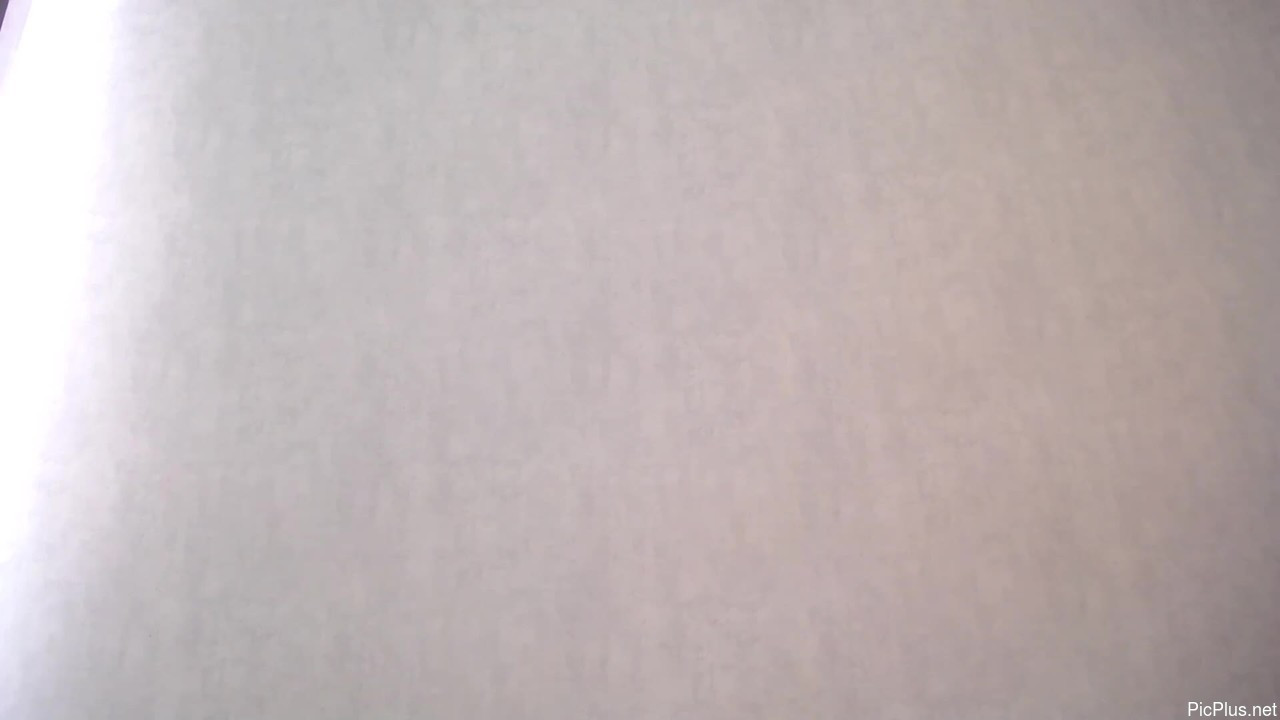 Elis_curys