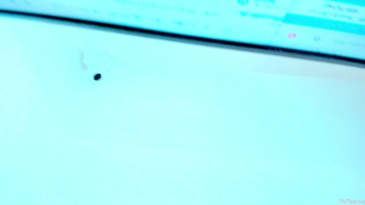 Alanna_hot3