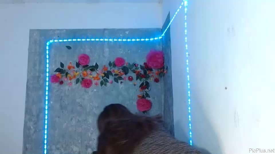 Eysela
