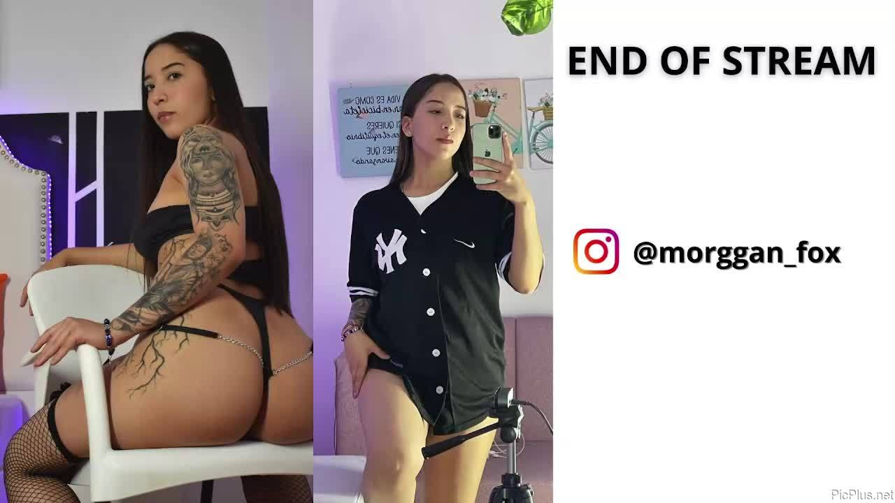 Morggan_fox1