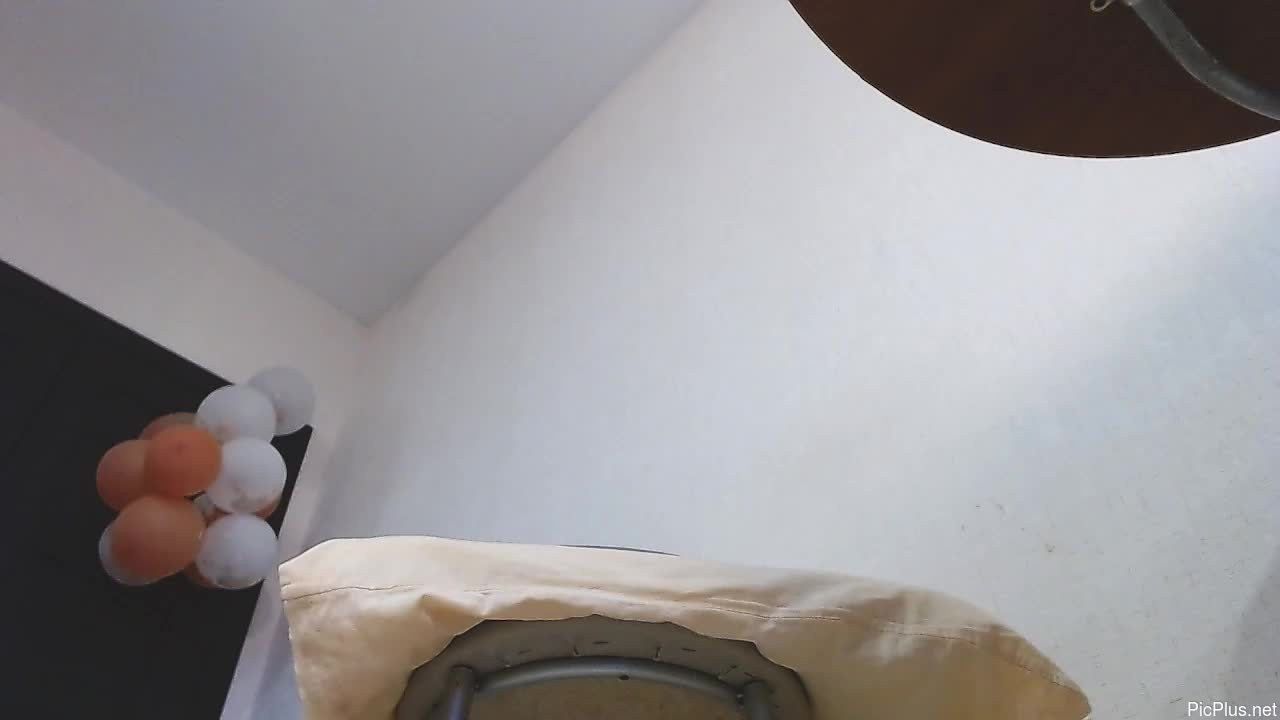 Black_alex_