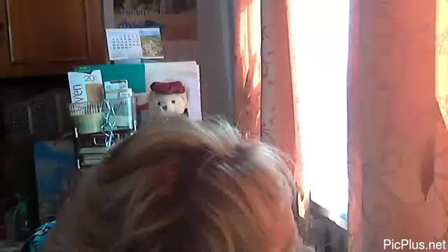 Vanillaxcreamy
