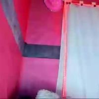 Cata_angel1
