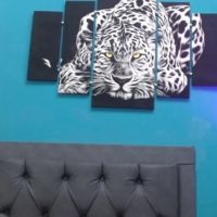 Anita_latin79