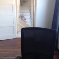 Hot_assj