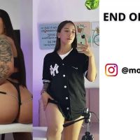 Morggan_fox1