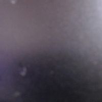 Nina_lovex