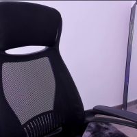 Soysamicita_