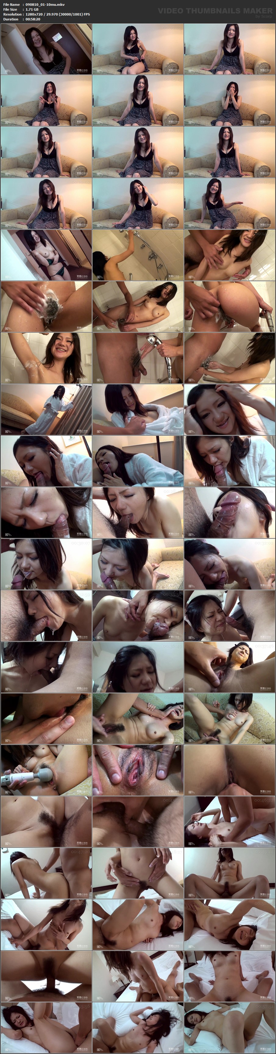 139958744_090810_01-10mu-mkv.jpg