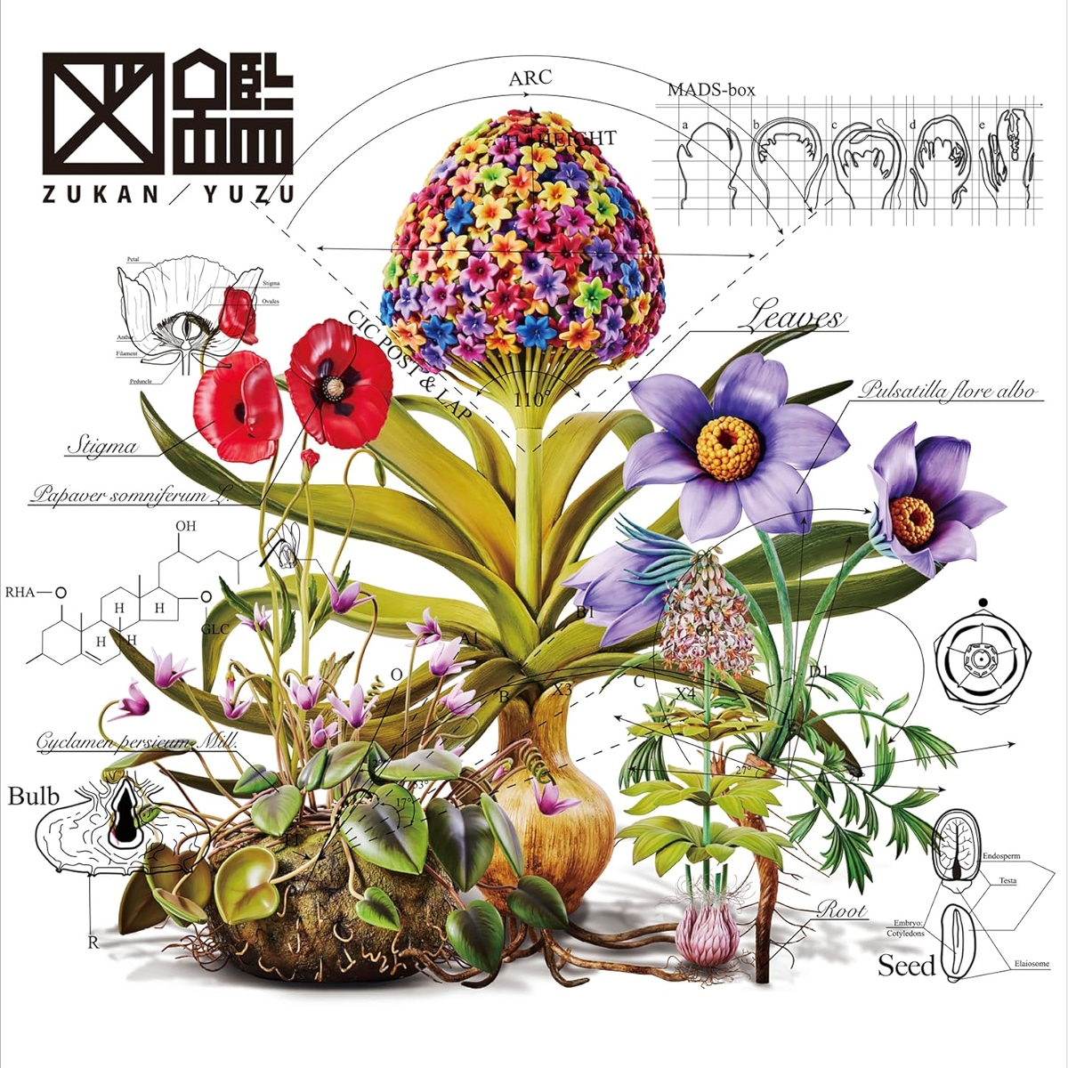 cover_01.jpg
