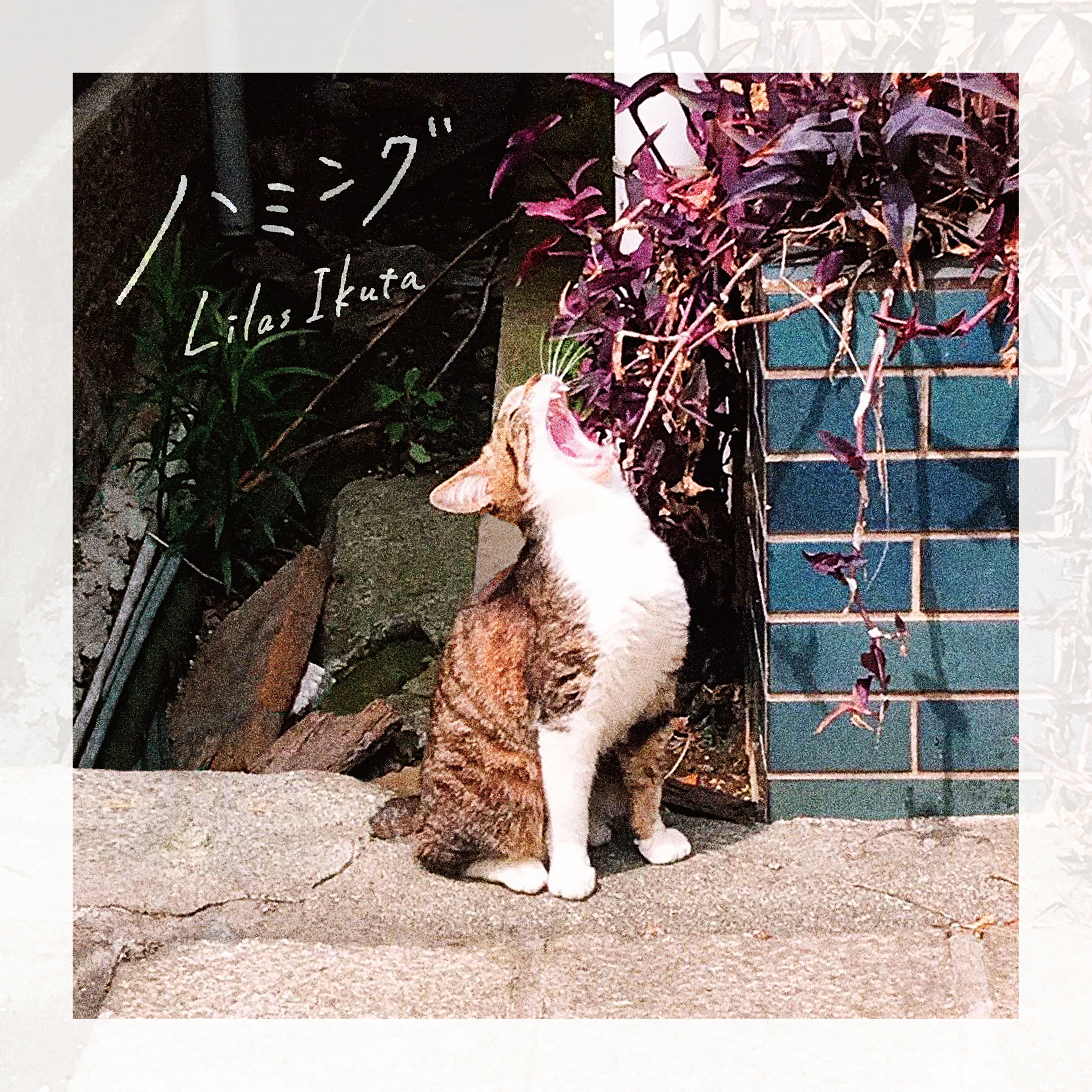 Cover.jpg