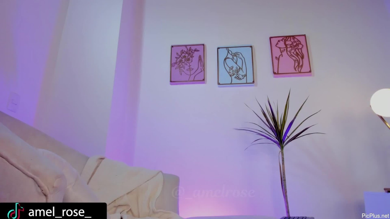 Amelrose