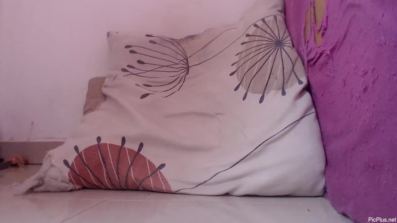 Gatito02139159