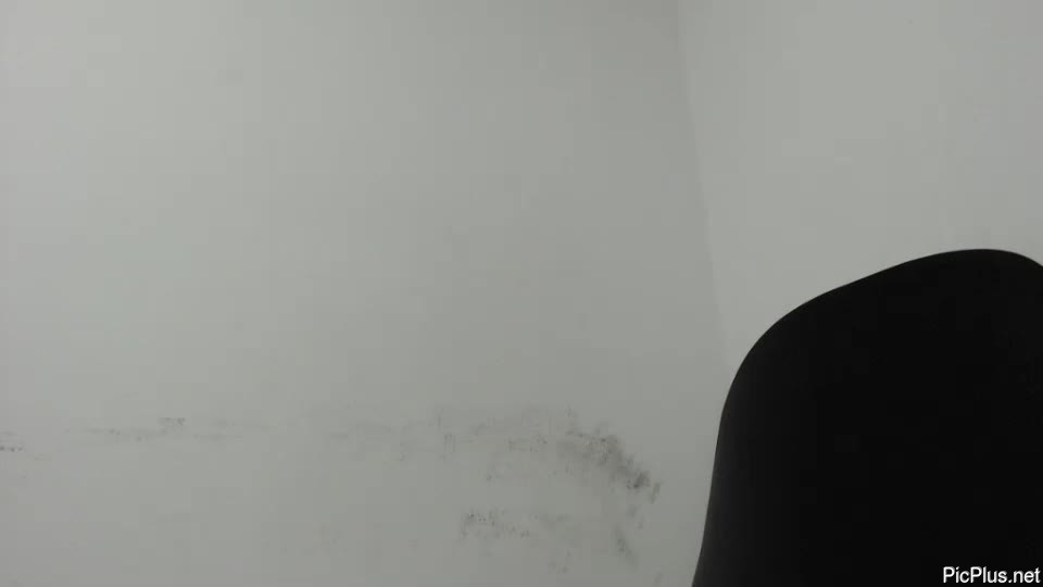 Kalani_latina