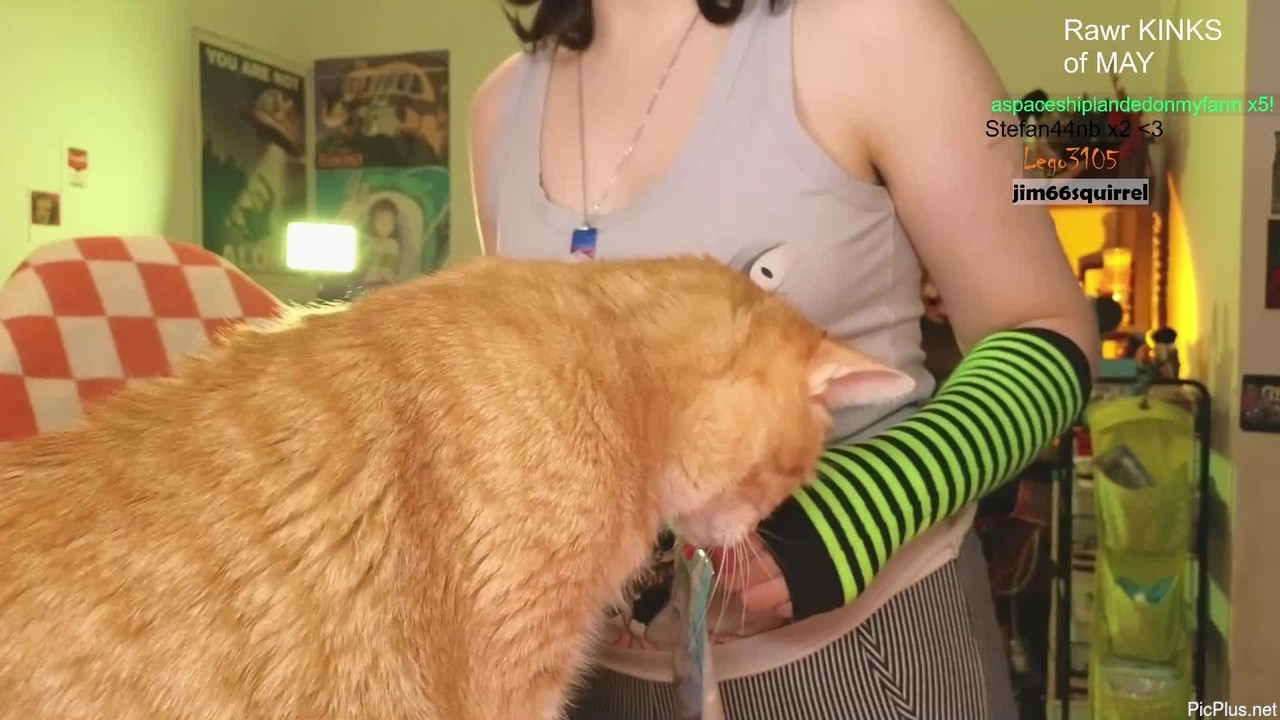 Frogessjay