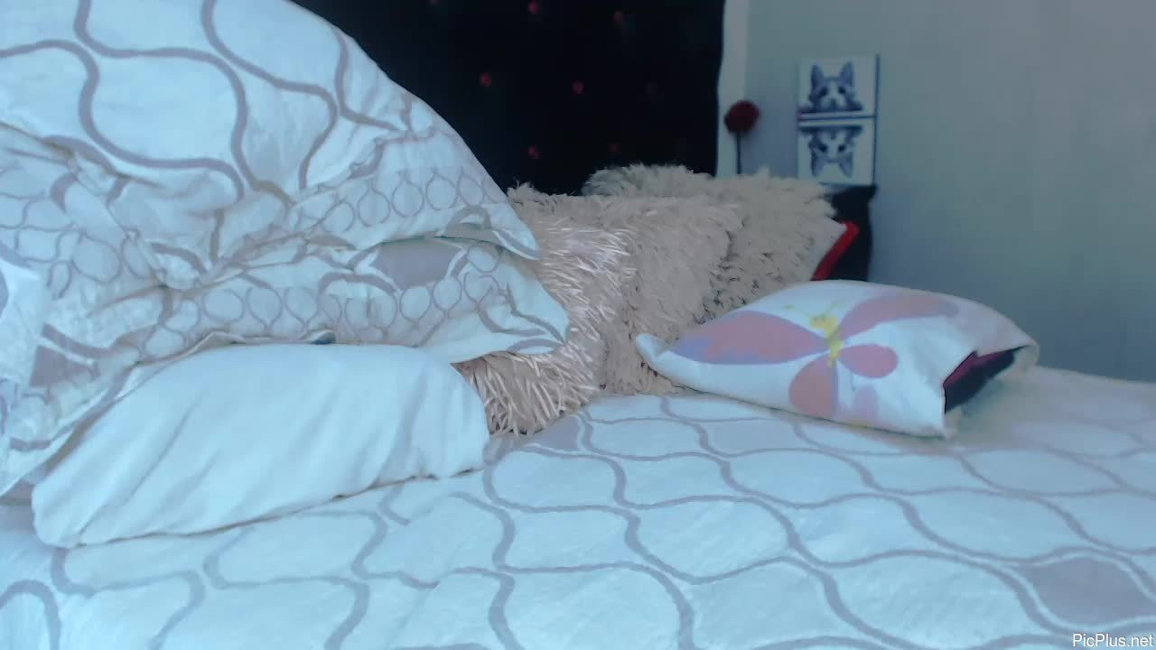 _sexyalexa